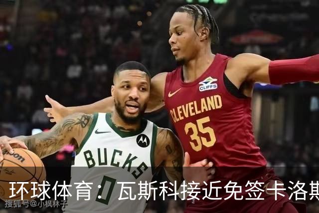 环球体育：瓦斯科接近免签卡洛斯-维尼修斯